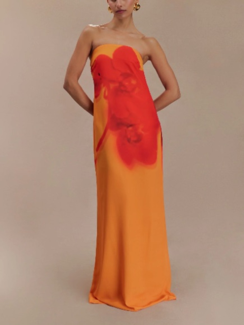 Meshki Amaya Strapless Chiffon Maxi Dress Koi Orchid Print, S